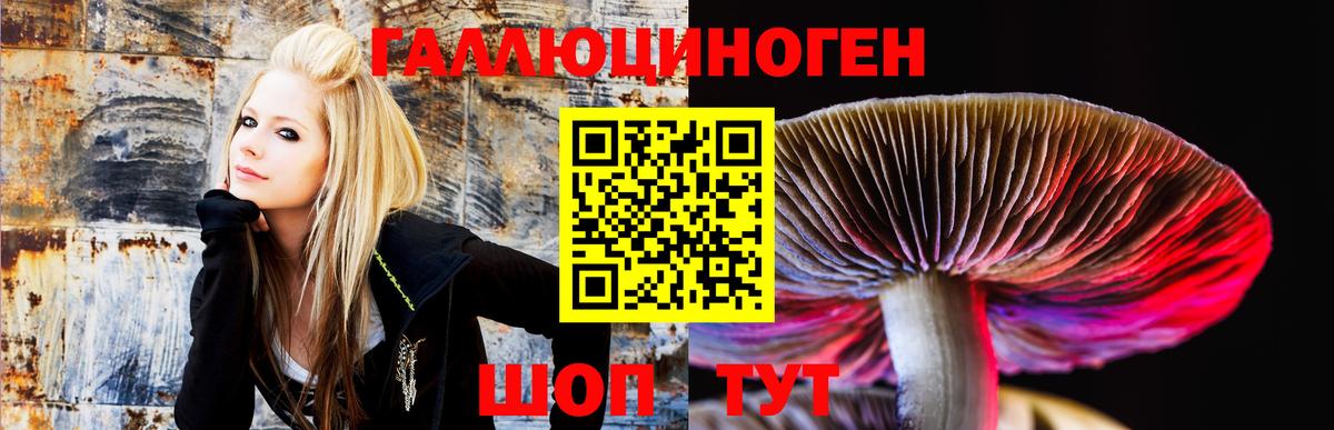 Саров  Галлюциногенные грибы Psilocybine cubensis  Вход с VPN  Галлюциногенные грибы мицелий 