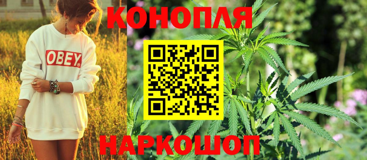 Канабис сатива Саров